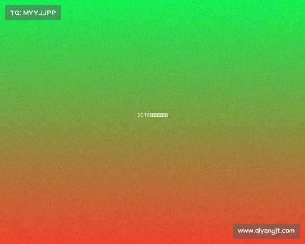 2016年中华龙舟大赛